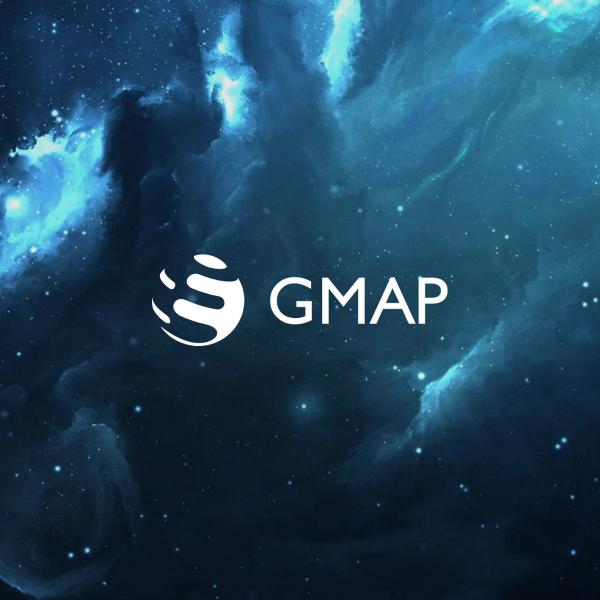 Realizzazione logo progetto GMap