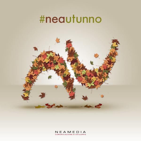 Grafica per social network